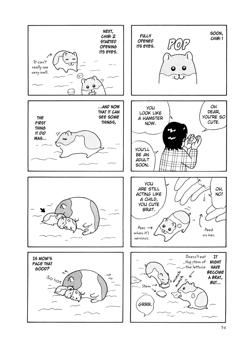 Hamster no Kenkyuu Report Chapter 25 10